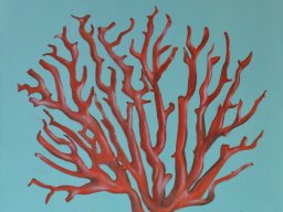 Corail