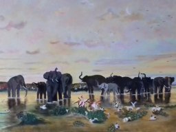 Eléphants
