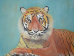 Tigre
